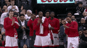 Nba Playoffs Applause GIF by NBA