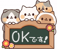 In Love Cat GIF