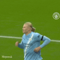 Premier League Norway GIF