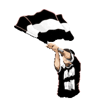futbol mac Sticker by Passolig