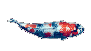 Japan Fish Sticker by EDGARDUDE
