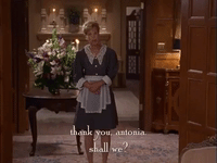 season 2 netflix GIF by Gilmore Girls 