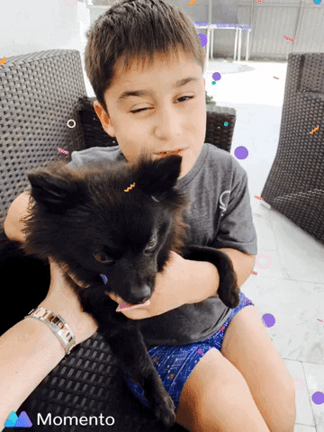 Dog Alex GIF by Goldpengroup