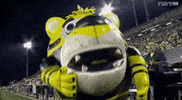happy dance GIF by Hamilton Tiger-Cats