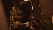 Tiger-Cats Cfl GIF by Hamilton Sports Group