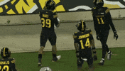Tiger-Cats Football GIF by Hamilton Sports Group