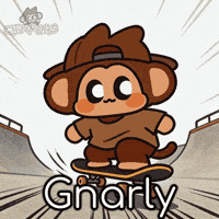 Skating Tony Hawk GIF by Chimpers