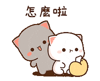 Cat Ignore Sticker