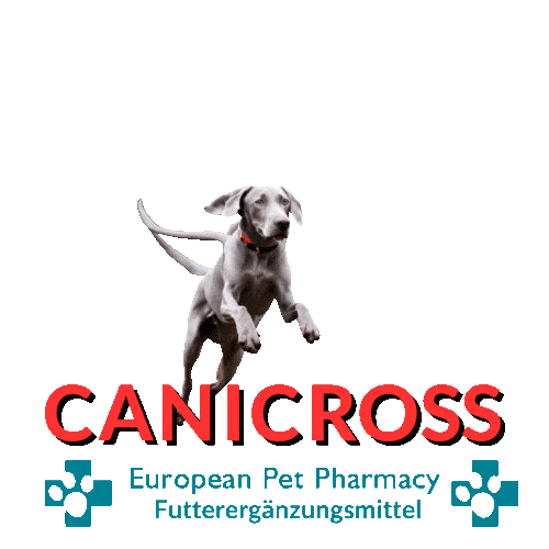 Epp Canicross Sticker by Europeanpetpharmacy