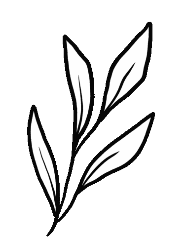 molarink giphyupload summer white nature Sticker