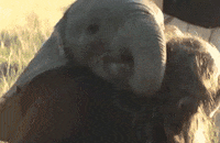 baby hug GIF
