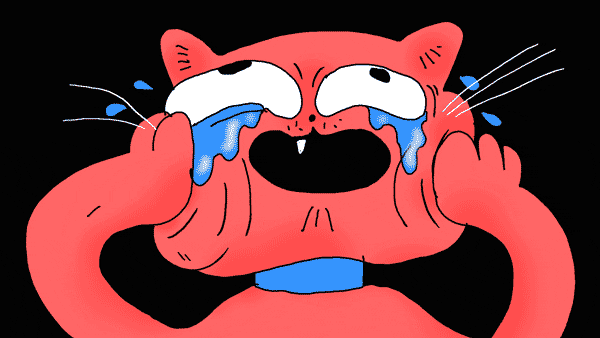 Cat Crying GIF