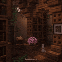 Cat Library GIF