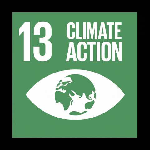 Greta Climate Action GIF by Global Goals