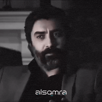 Kurtlar Vadisi Memati GIF by Hamzah