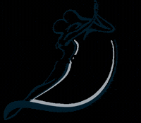 magicdancekarlsruhe magicdance GIF