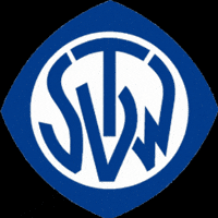 Tsvwendlingen Tsvwendlingen1920 Handball Volleyball Sportverein Wendlingen GIF by TSV Wendlingen 1920 e.V.