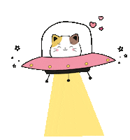 Cat Space Sticker
