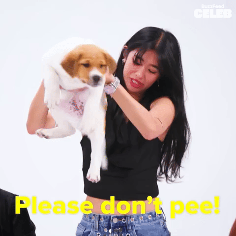 Please Don't Pee!