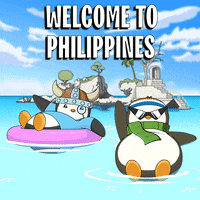 Beach Penguin GIF by Pudgy Penguins