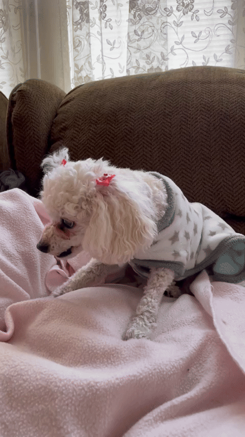 Cosette