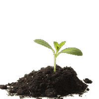 Agro Sticker by Avra Sementes