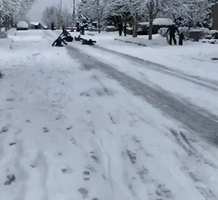 kids sledding GIF