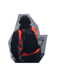 Protest Wow Sticker by Linz News