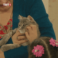 Hadi Seksenler GIF by TRT
