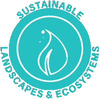 Environment Sustainability Sticker by McGill University