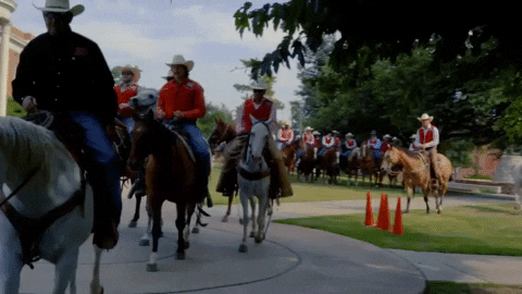 Horseback Riding Texas GIF by Sul Ross State University