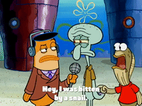 season 4 episode 13 GIF by SpongeBob SquarePants
