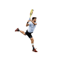 Tennis Court Sticker by San Diego Aviators