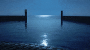 night moon GIF by Living Stills