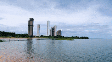 Brasilidades - Tocantins