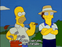 homer simpson GIF