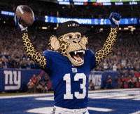 National Football League GIF by Boring Merch