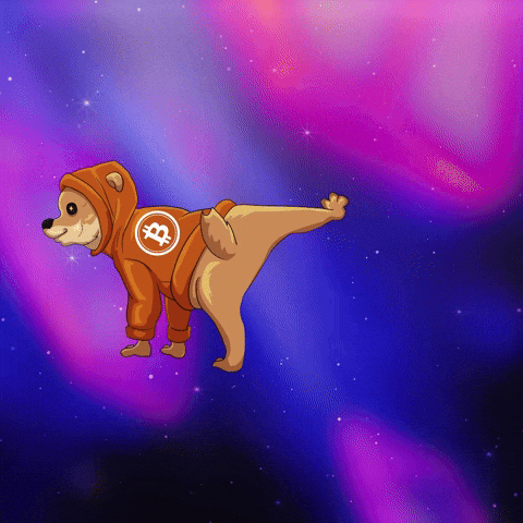 TheDogOfBitcoin giphyupload dog runestone dog go to the moon GIF