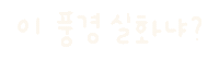 미니의여름바다 Sticker