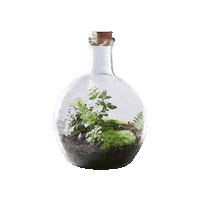 Plants Terrarium Sticker by Green Bubble