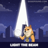 Lets Go Win GIF by Doge Pound