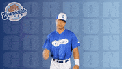 Lets Go Heart GIF by Evansville Otters