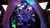 Meow Wolf GIF by Potomac Fund Management