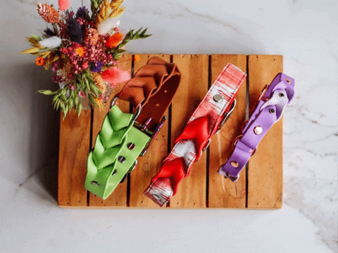 sharonmichels giphygifmaker collar dogcollar doggear GIF