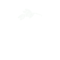 Argentina Soy Elegida Sticker by Cita con la Vida