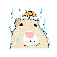 눈물 Sticker