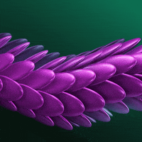 Loop Snake GIF by xponentialdesign