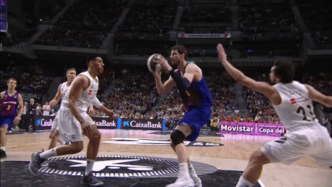 fc barcelona basketball GIF by ACB