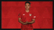 Fc Kaiserslautern Applause GIF by Bundesliga