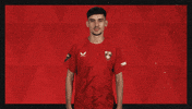 Cant Hear You Fc Kaiserslautern GIF by Bundesliga